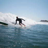 Scott Caan / Slide n Glide